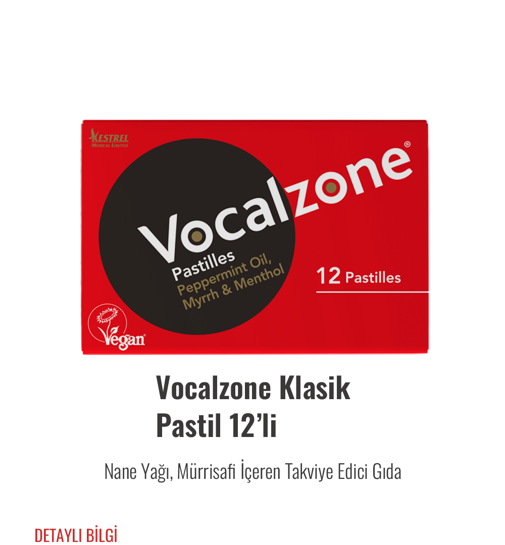 Vocalzone Klasik Pastil 12'li